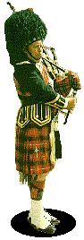 Piper